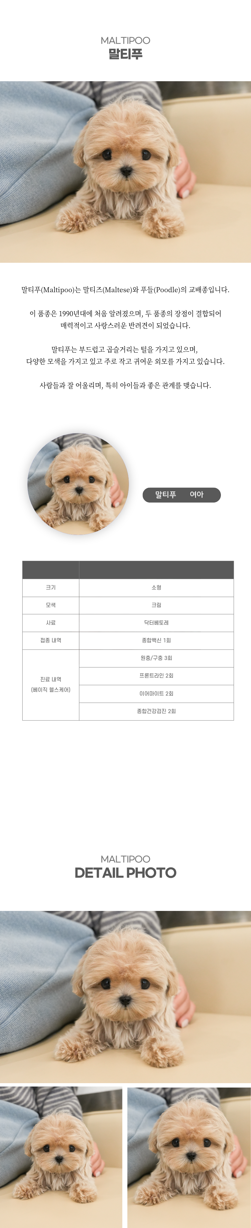 말티푸_상세이미지_2
